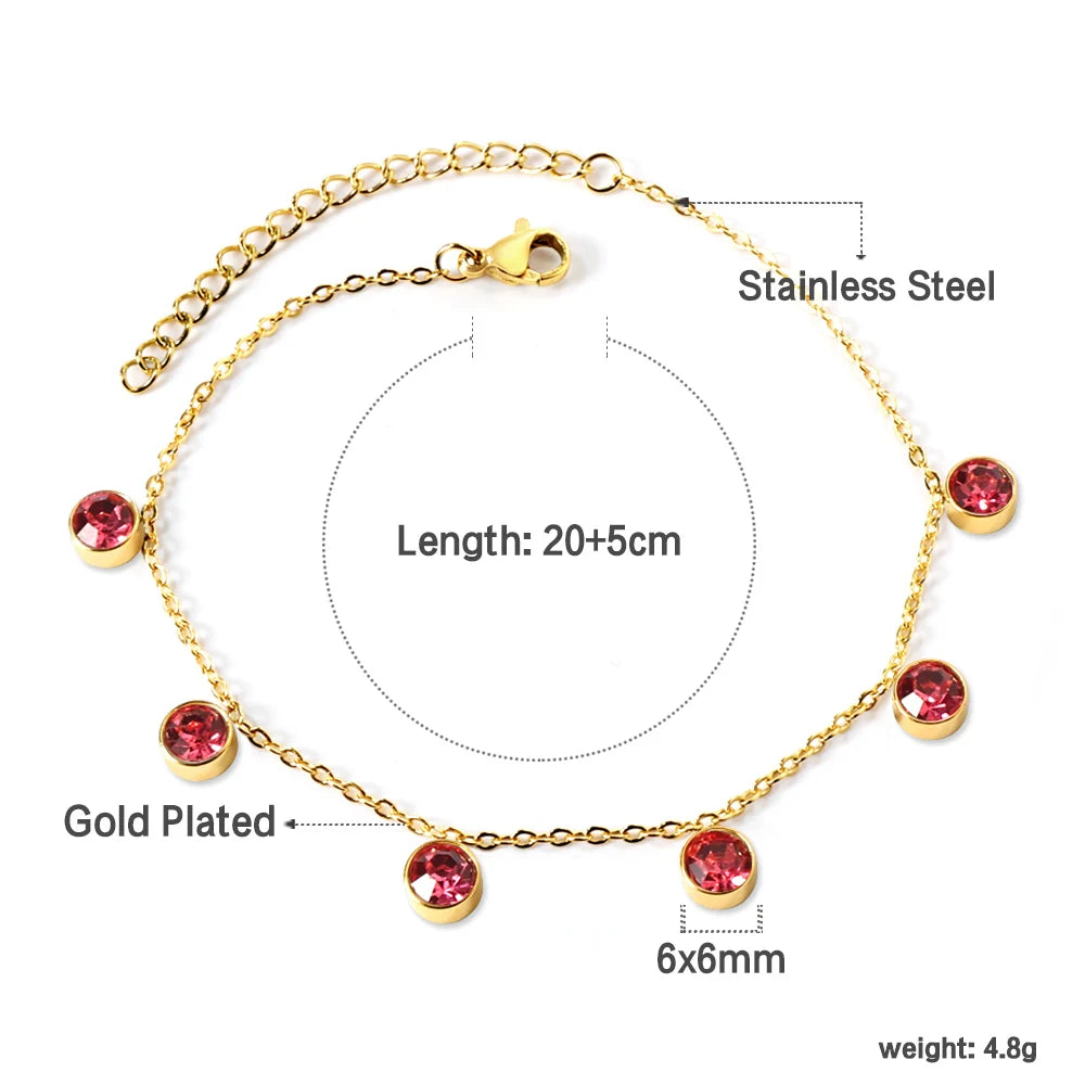 Stainless Steel Anklet for Women Cubic Zirconia Crystal Charm.