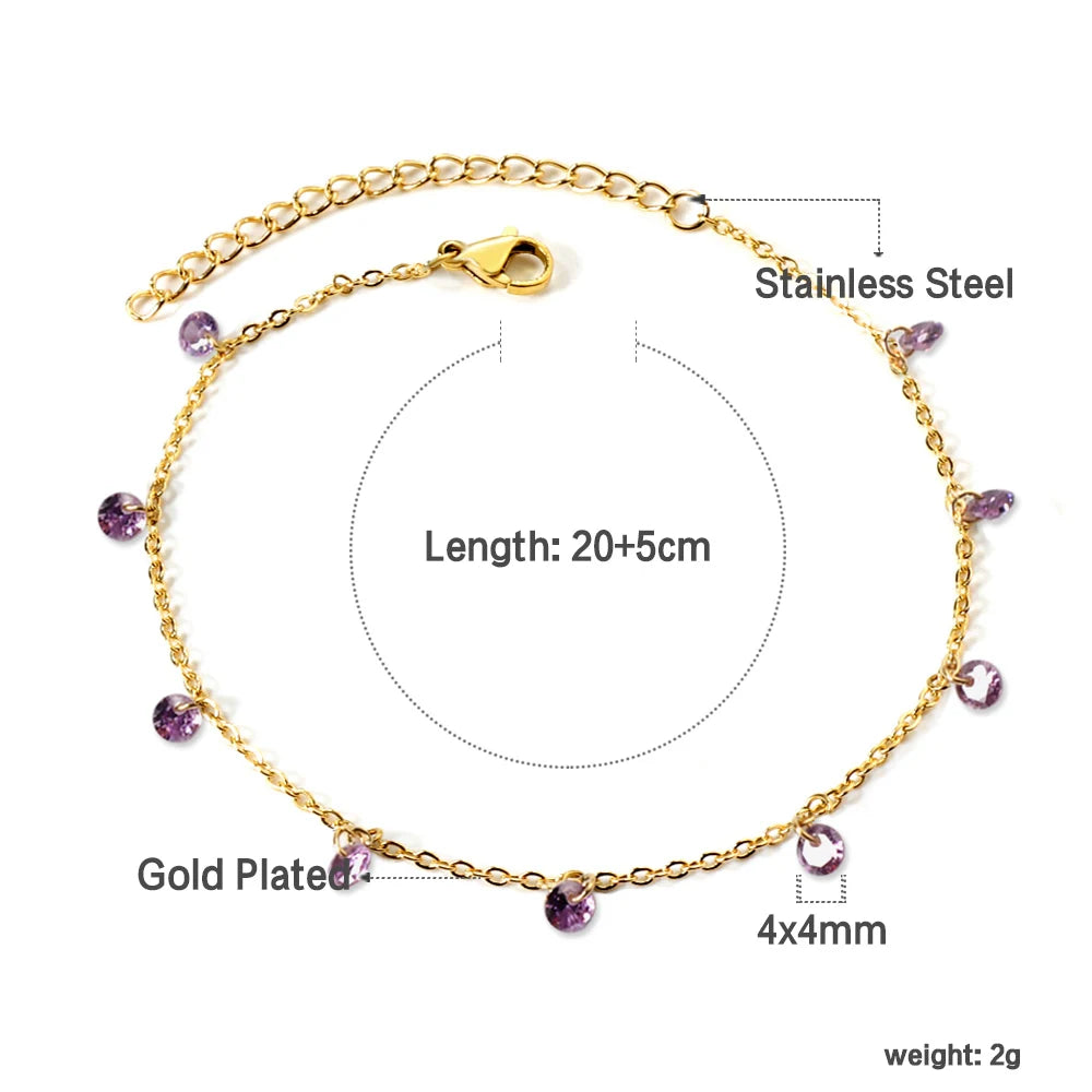 Stainless Steel Anklet for Women Cubic Zirconia Crystal Charm.