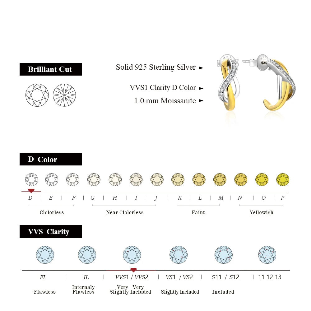 Moissanite 925 Sterling Silver Earrings for Women
